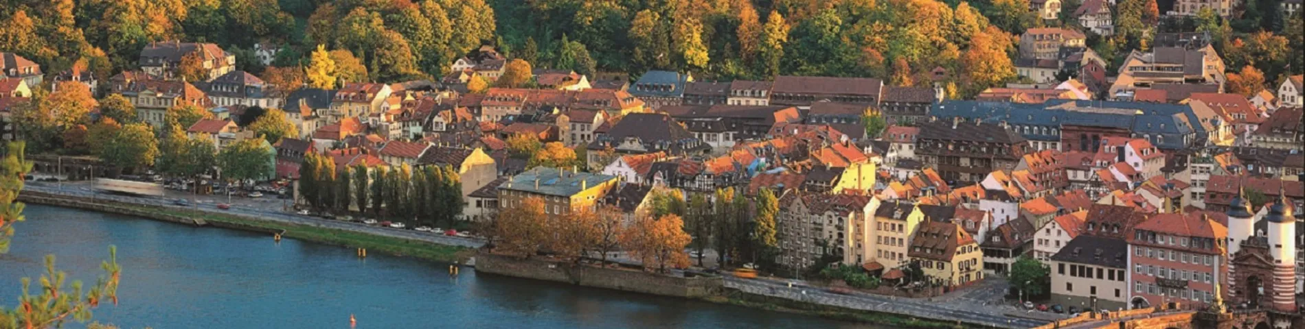 Obrázok školy F+U Academy of Languages – 1