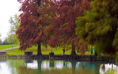 Top destinationer: Modena (By miniaturebillede)