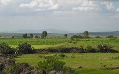 Legnépszerűbb célállomások: Querétaro (A város kicsinyített nézete)