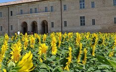 热门地区: 乌尔巴尼亚 (城市缩略图)