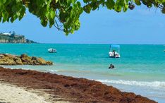 热门地区: 瓜德罗普 (城市缩略图)