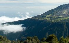 热门地区: 图里亚尔瓦 (城市缩略图)