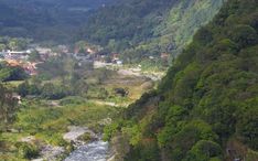 热门地区: 博克特 (城市缩略图)