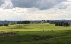 أفضل الوجهات: هاميلتون (صورة مصغرة للمدينة)