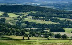 热门地区: 克里夫 (城市缩略图)