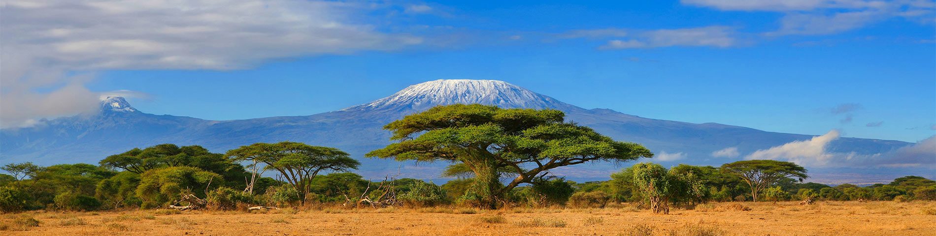 Destinazioni Principali: Tanzania (miniatura della città)